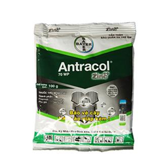 ANTRACOL 70WP 100 gram – THUỐC ĐẶC TRỊ BỆNH THÁN THƯ, PHẤN TRẮNG, GIẢ SƯƠNG MAI, NẤM HỒNG