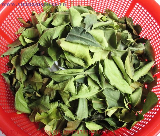 [HCM]lá trúc khô (lá chanh khô) 100gram