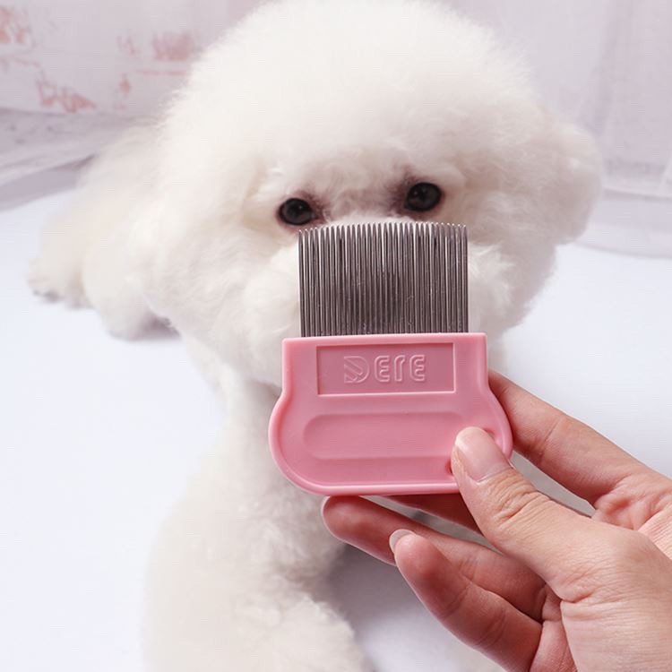 LƯỢC CHẢI VE RẬN, BỌ CHÉT - MADDIE PETSTORE