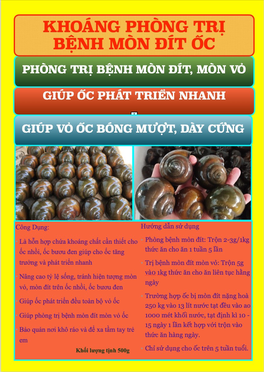 Khoáng trị phòng bệnh mòn đít cho ốc bươu đen