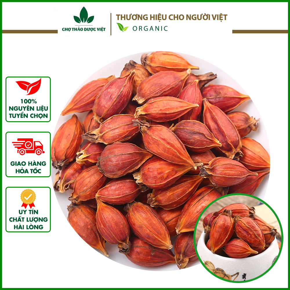 Quả dành dành 500g - chợ thảo dược việt