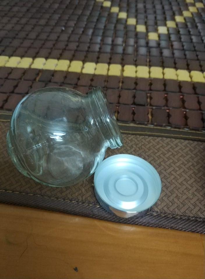 [HCM]Marimo tảo thủy sinh Nhật Bản