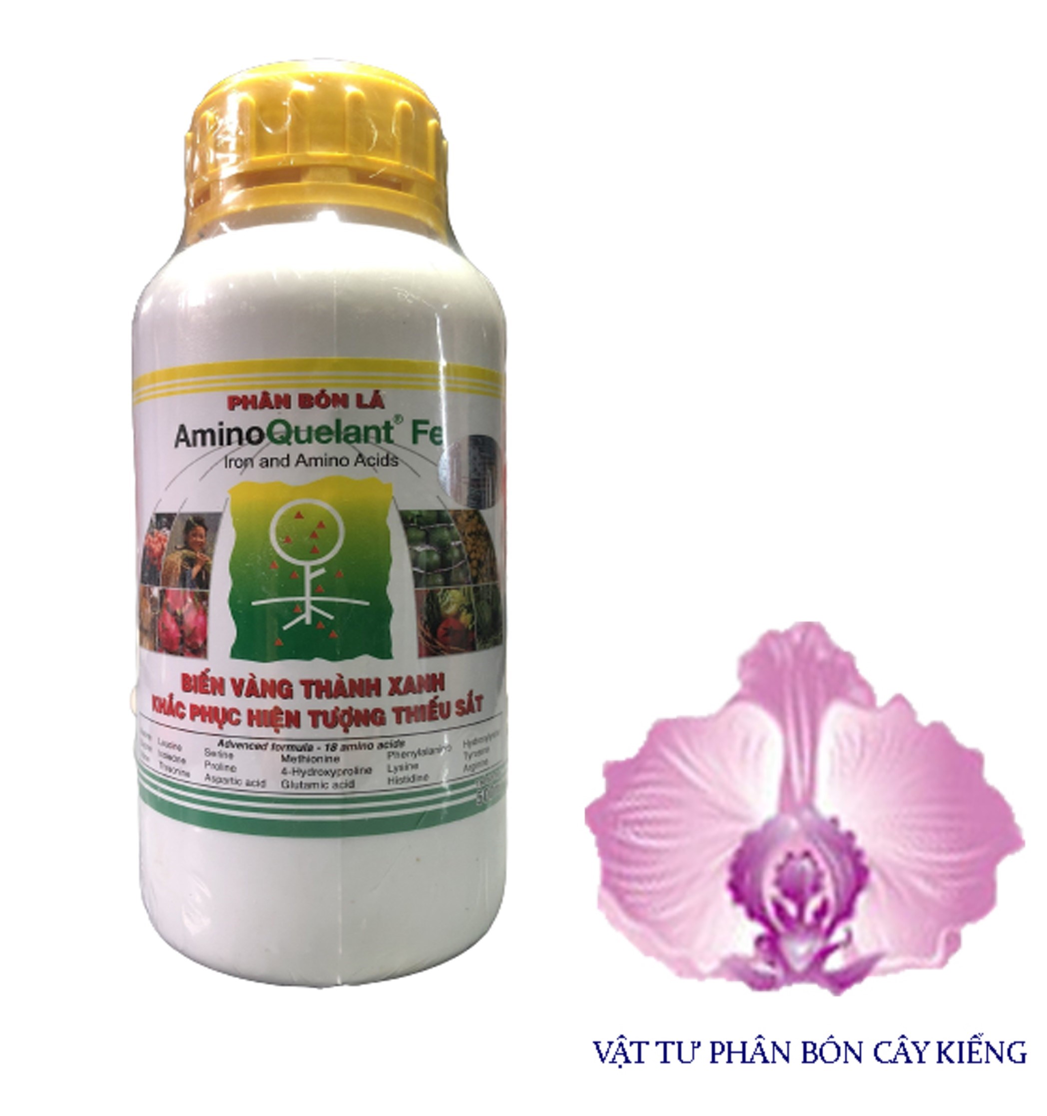 Phân Bón Lá Amino Quelant Fe - #066A# 500ml