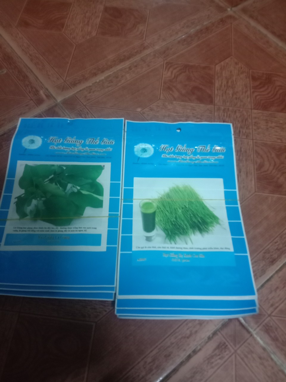 hạt giống rau răm f1