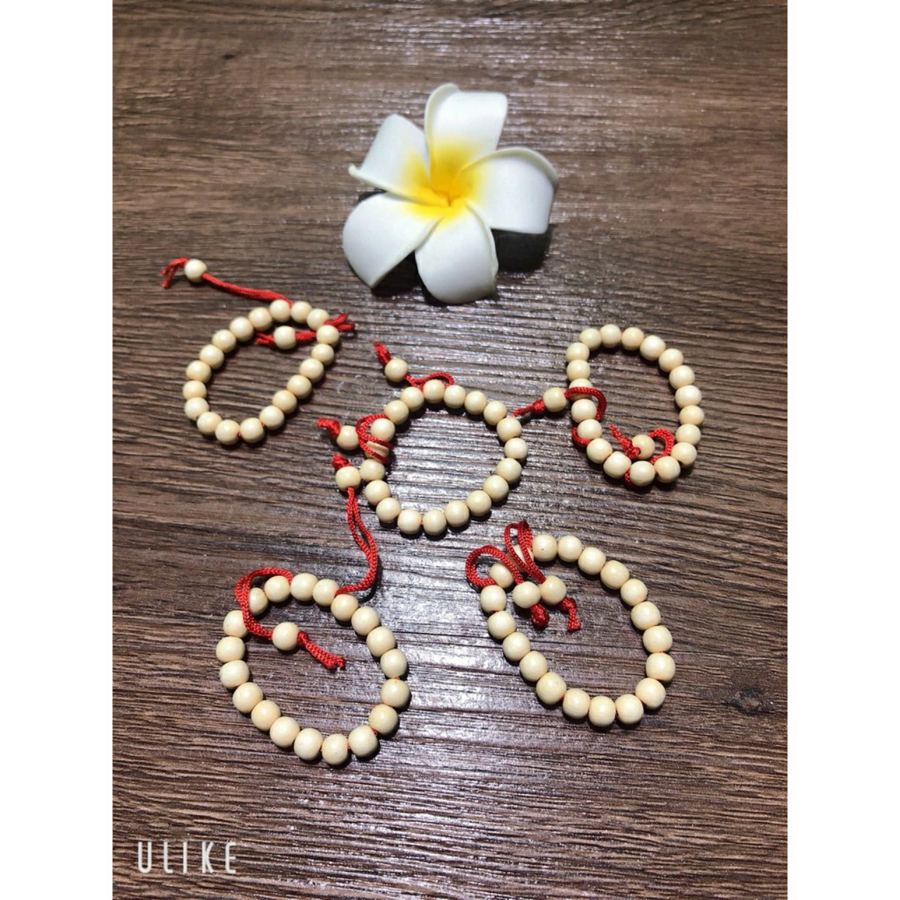 SÉT 5 BỘ DÀI TAY COTTON GIẤY CHO BÉ GÁI( KÈM QUÀ TẶNG )
