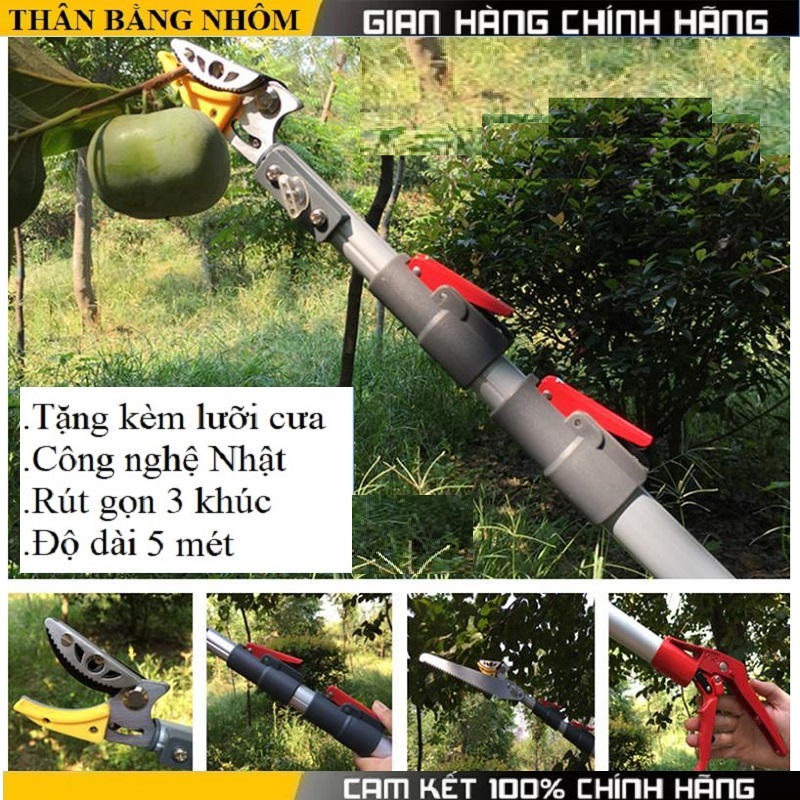 Kéo cắt cành hái quả trên cao dài 5m 3 đoạn