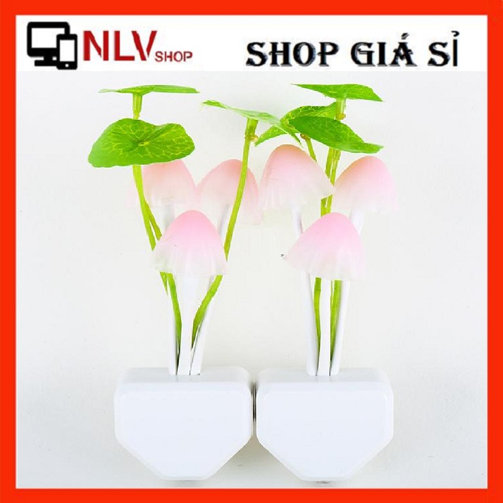 Đèn Ngủ Hoa Sen Cảm Biến Sáng Khi Về Đêm