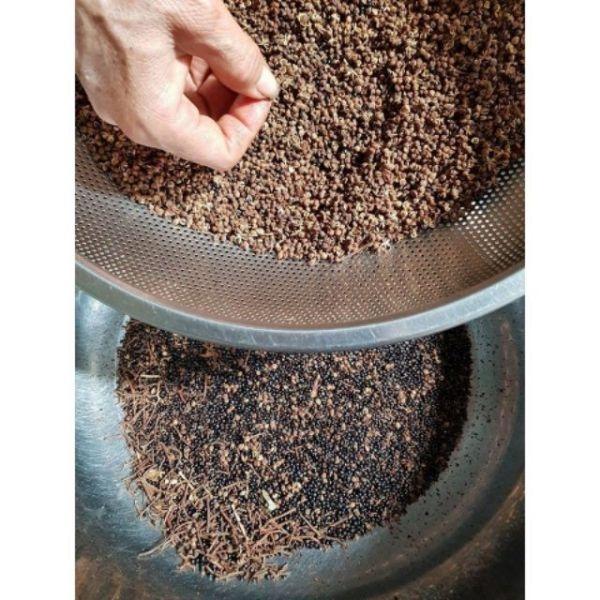 Mắc Khén 50gr Giá Dùng Thử