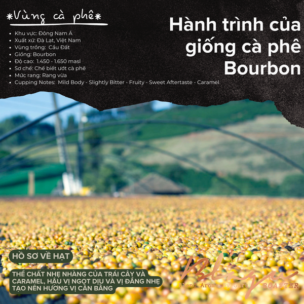 [Premium] Cà phê Blagu hạt đã rang, Bourbon Cầu Đất  Dòng Cà Phê Đặc Sản  100% Arabica - Bourbon  Medium 250g