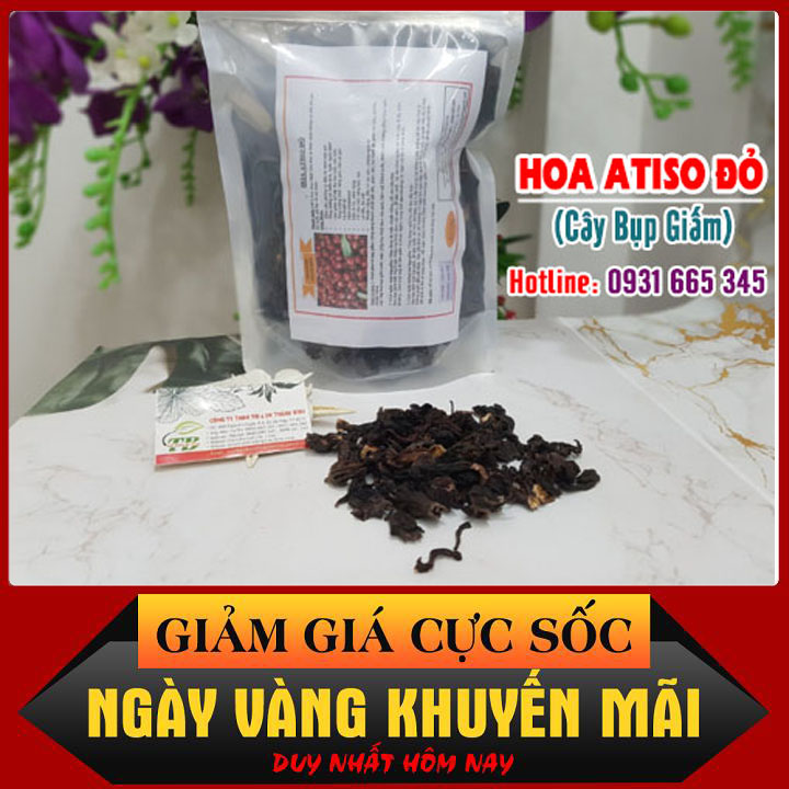 Cây bụp giấm 100g loại cao câp - đông y thanh bình