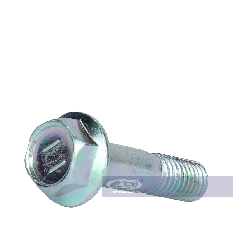 Ốc số 11 - rgv120-0344