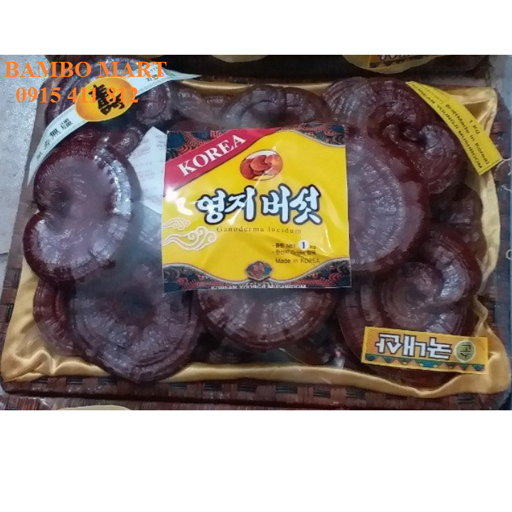 NẤM LINH CHI NÚI ĐỎ HÀN QUỐC