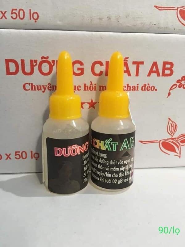 Dưỡng chất AB chăm sóc hoa lan