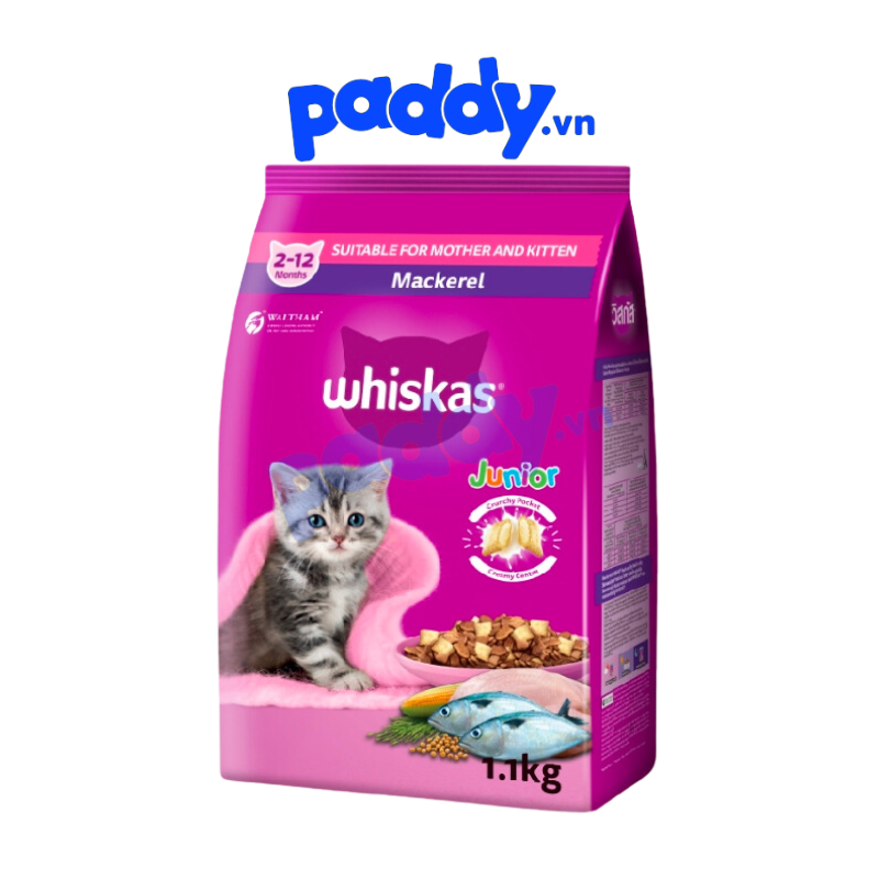 Hạt Whiskas Junior Cho Mèo Con
