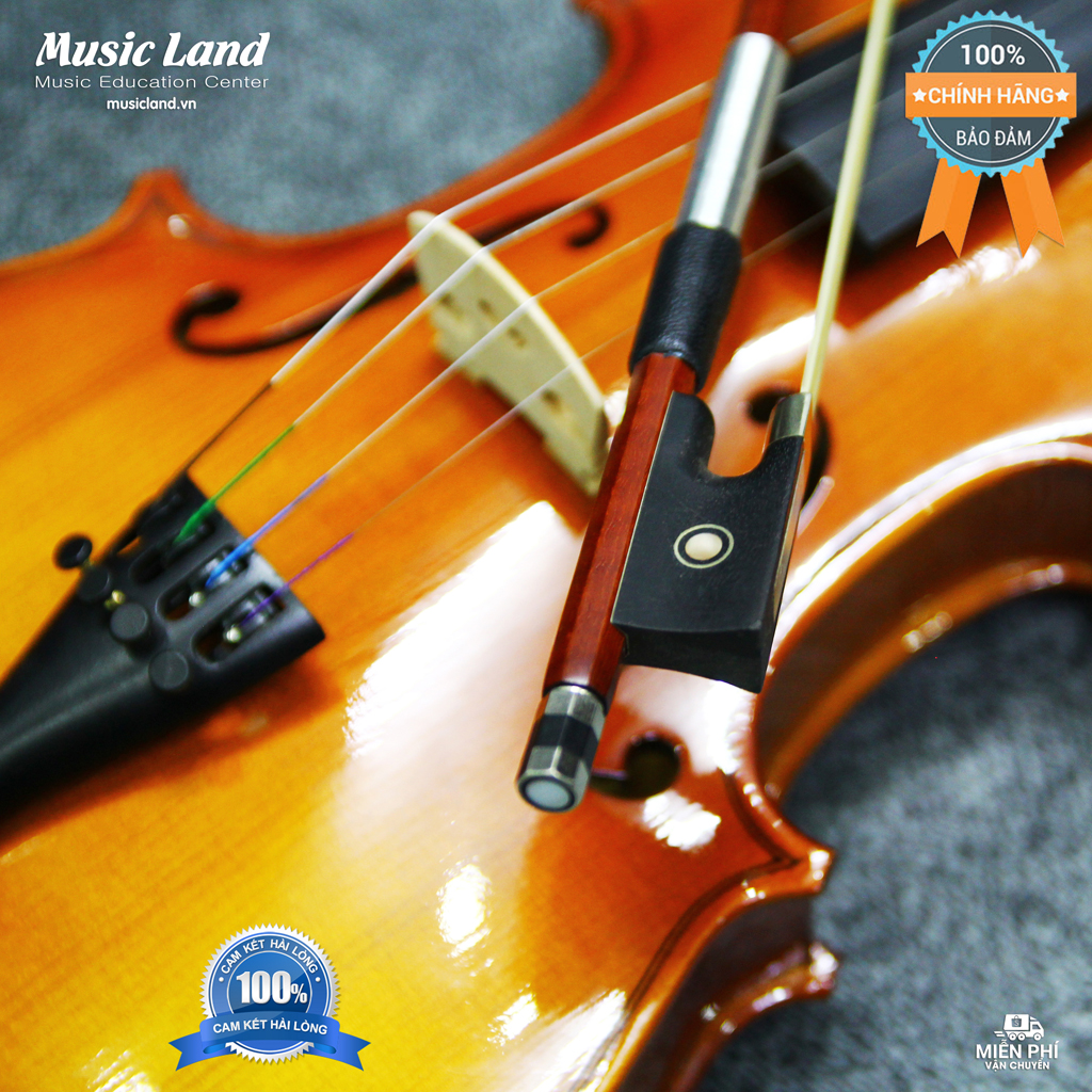 Đàn Violin Omebo RV-205 - Chính Hãng