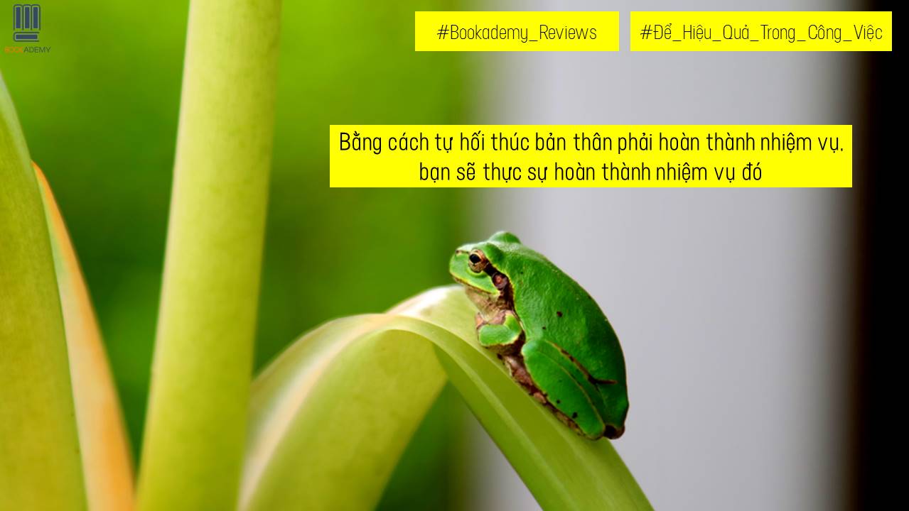 Sách First News - Để hiệu quả trong công việc