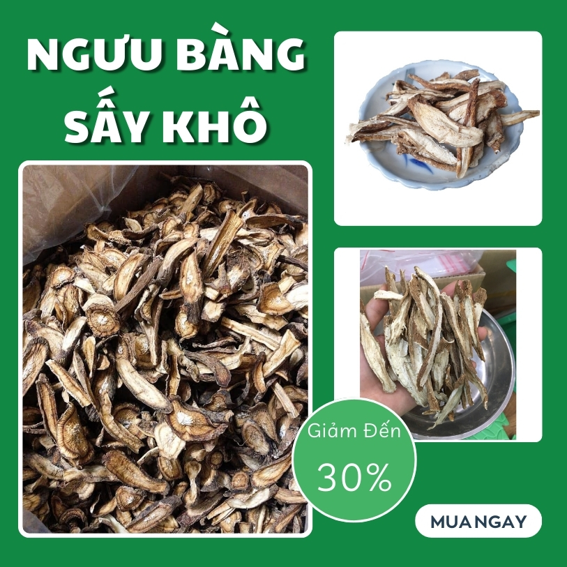 [Hàng mới về] Ngưu bàng khô 500g - Công Ty Thảo Dược Tấn Phát - Hỗ trợ thanh nhiệt giải độc cực kỳ hiệu quả