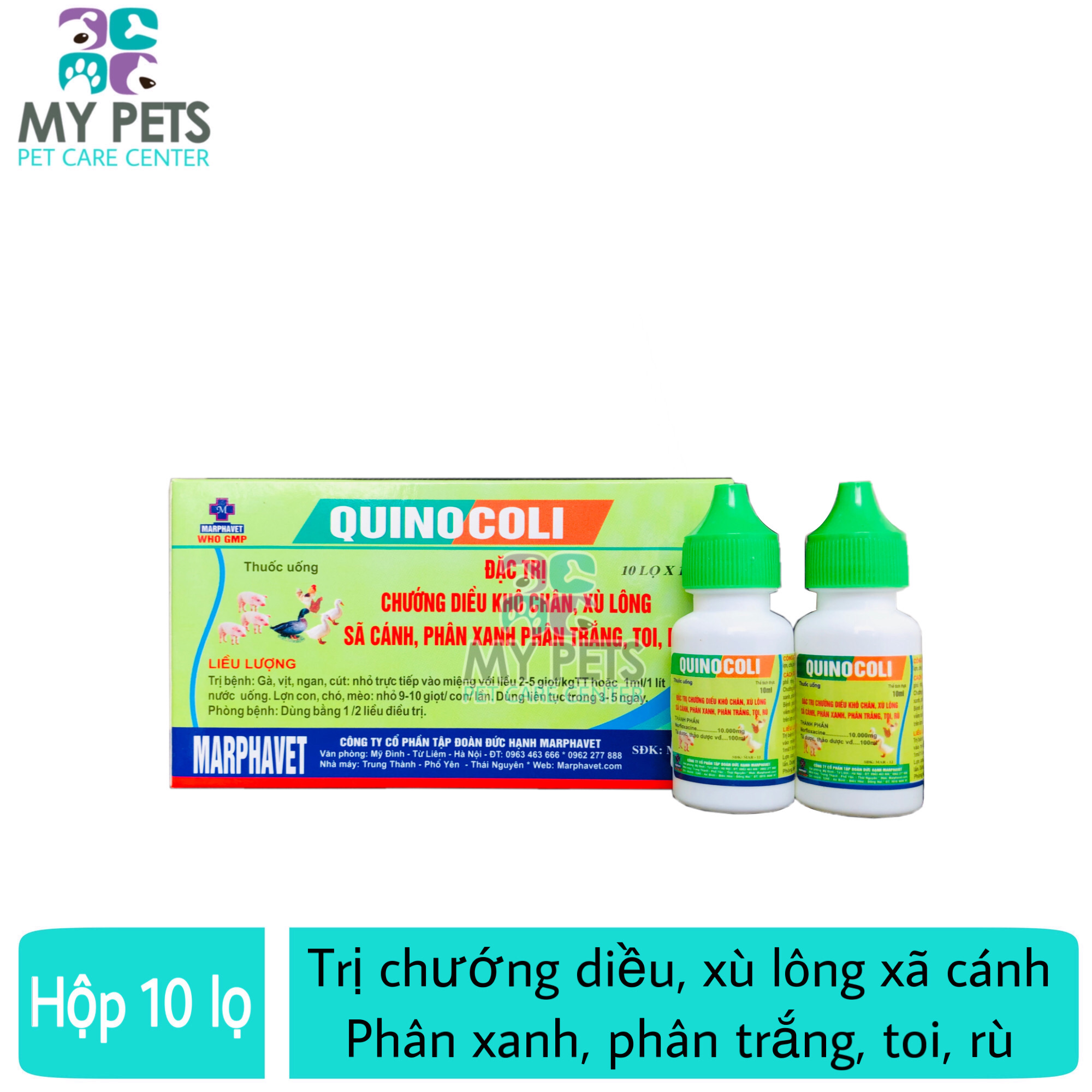 QUINOCOLI chướng diều khô chân xù lông xã cánh tiêu chảy phân xanh phân trắng - Hộp 10 lọ x 10ml