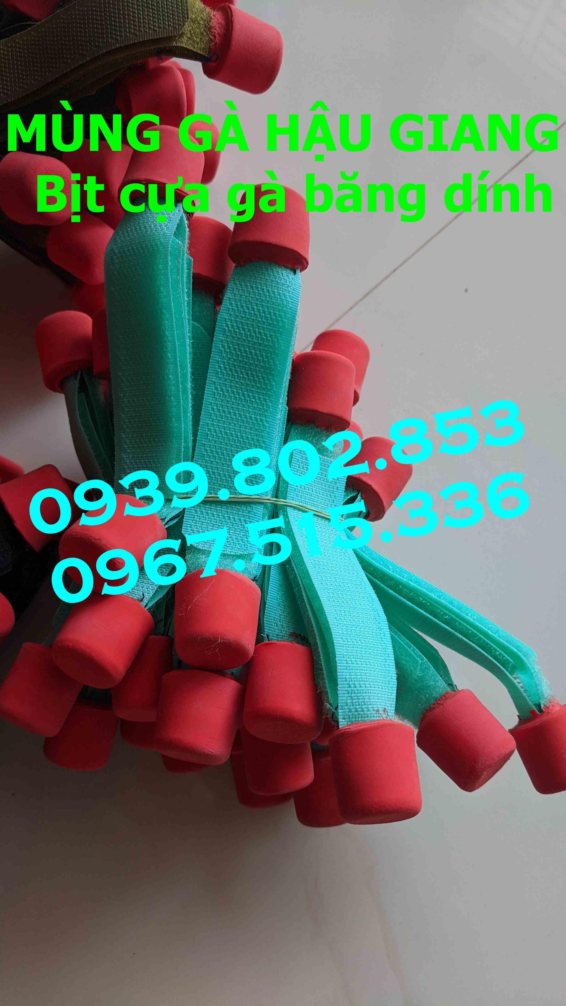 Bịt cựa gà nòi giá rẻ (1 bộ 4 cái)