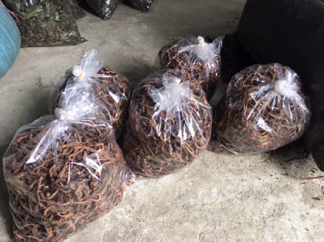 Cốt toái bổ khô 1 kg