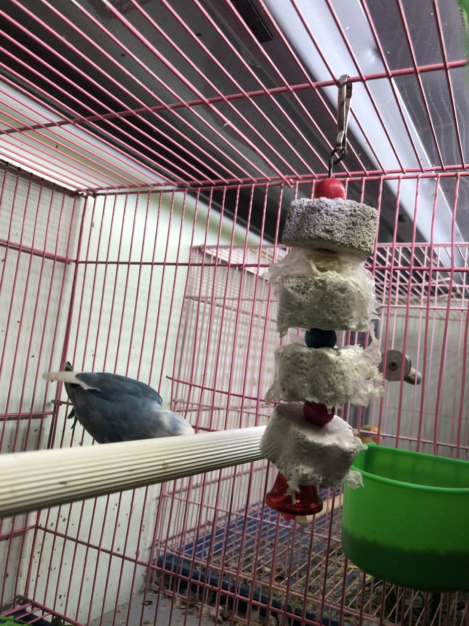 Dây treo 4 viên đá mài mỏ vẹt, hamster