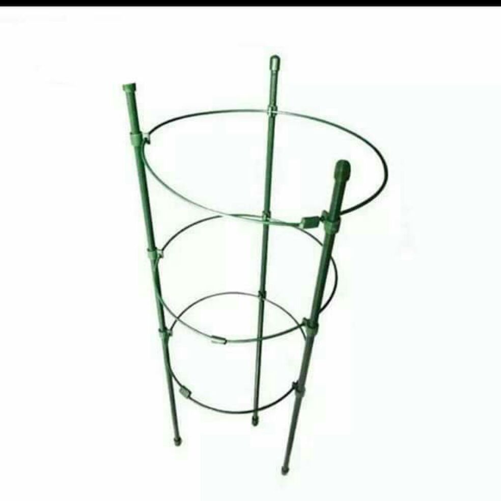 3 Khung Đỡ Hoa Hồng Hoa Lan Cây leo 120cm phi 7