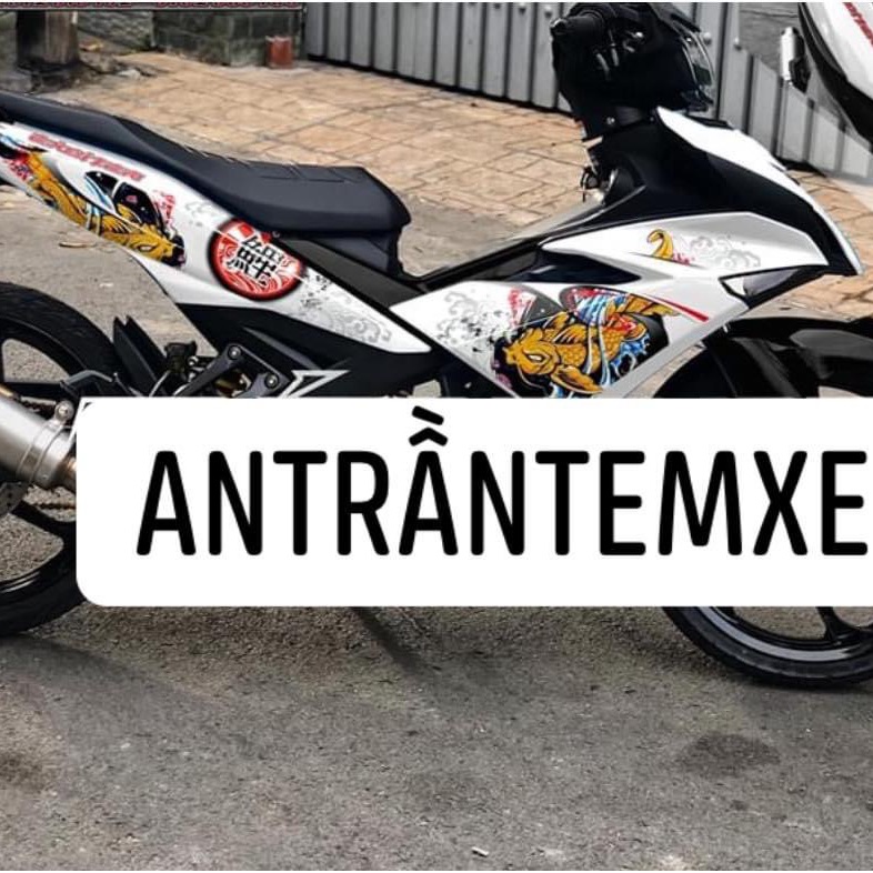 [HCM]Tem rời cá chép hoá rồng 3 lớp exciter 150