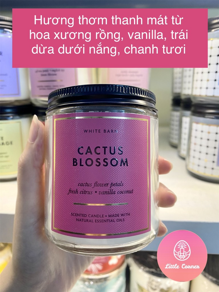 Nến thơm 1 bấc 198g BATH AND BODY WORKS - WHITE BARN basic 2
