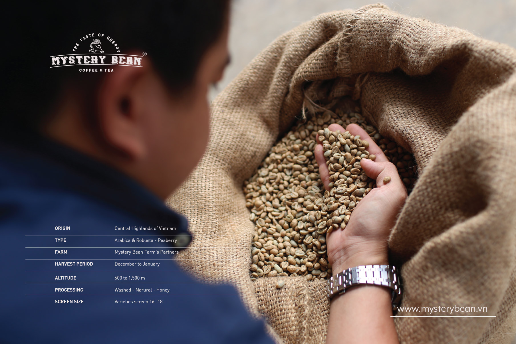 [HCM]Cà Phê Hoà Tan Sữa Dừa Coco Tropical - Mystery Bean