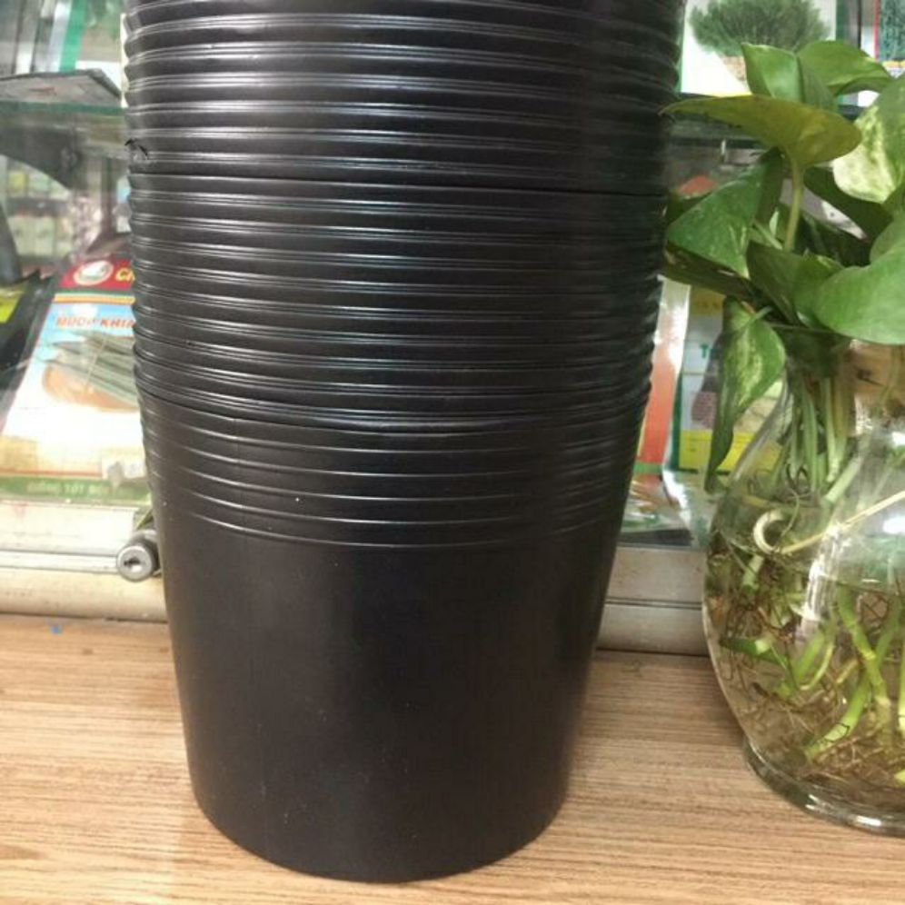 Combo 50 chậu đen c8.