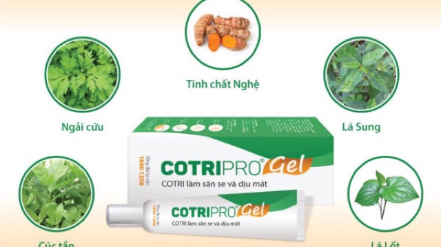 COTRIPRO gel 10g kem bôi trĩ
