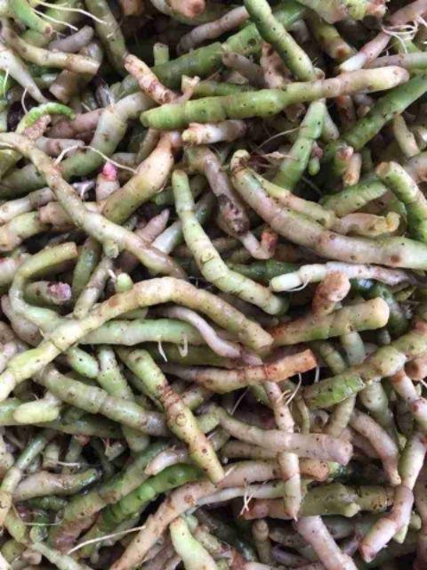 Rễ Tứn Khửn Tươi 1kg