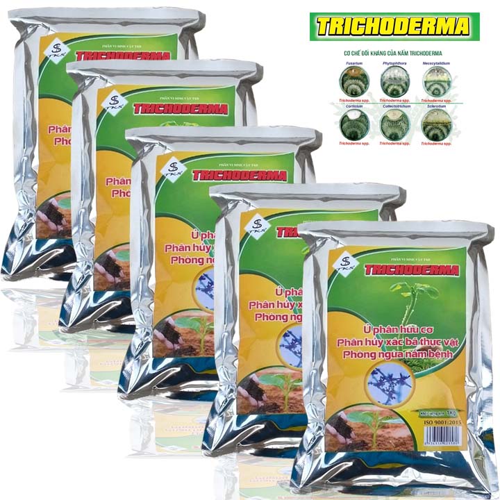 [1 Kg] NẤM TRICHODERMA 5 Chủng Nấm: Ủ Phân Hữu Cơ, Cải Tạo Đất, Phòng Nấm Bệnh Hiệu Quả