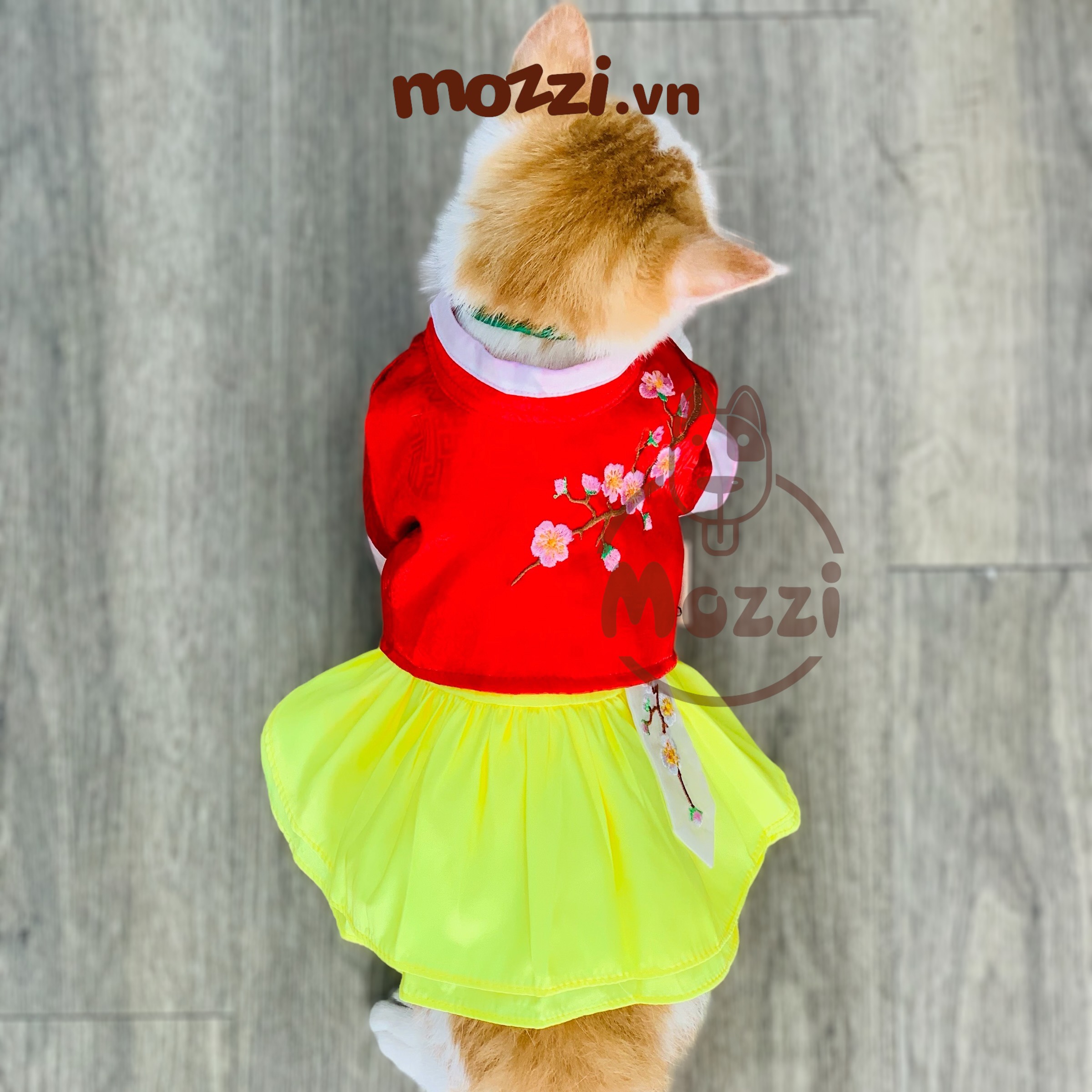 Đầm Hanbok Hàn Quốc cho chó mèo
