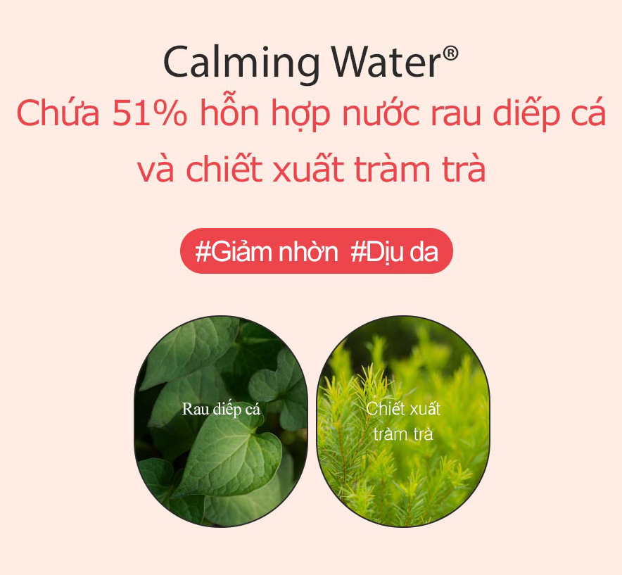 Nước Hoa Hồng Dành Cho Da Mụn SNP Acsys Plus Control Toner 150ml