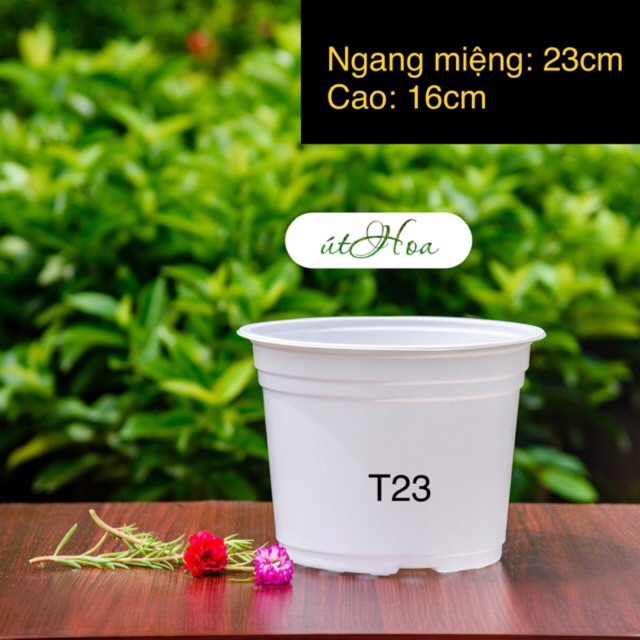 Chậu nhựa trắng T23 (23x16cm)có vành miệng cứng