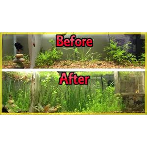Phân Nước Thủy Sinh bổ sung CO2 Seachem Flourish Excel