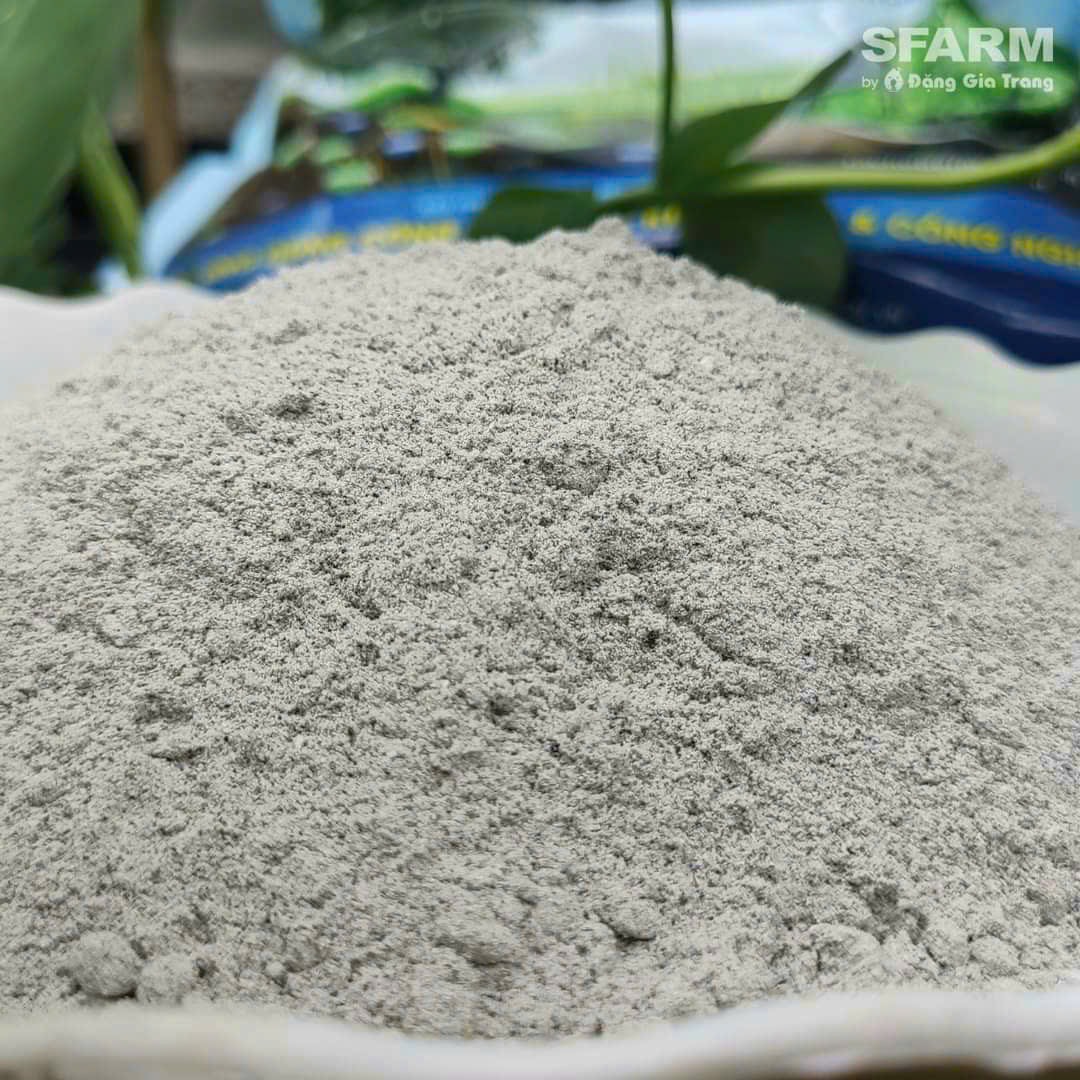 Gói 1kg Nấm đối kháng Trichoderma Plus Humic và Trichoderma SFARM