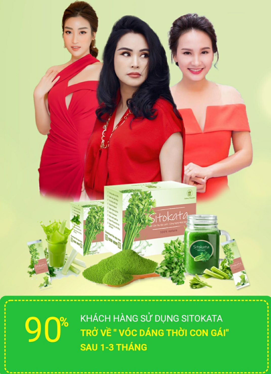 [HCM]Bột cần tây sitokata sấy lạnh chính hãng (1 hộp 20 gói)