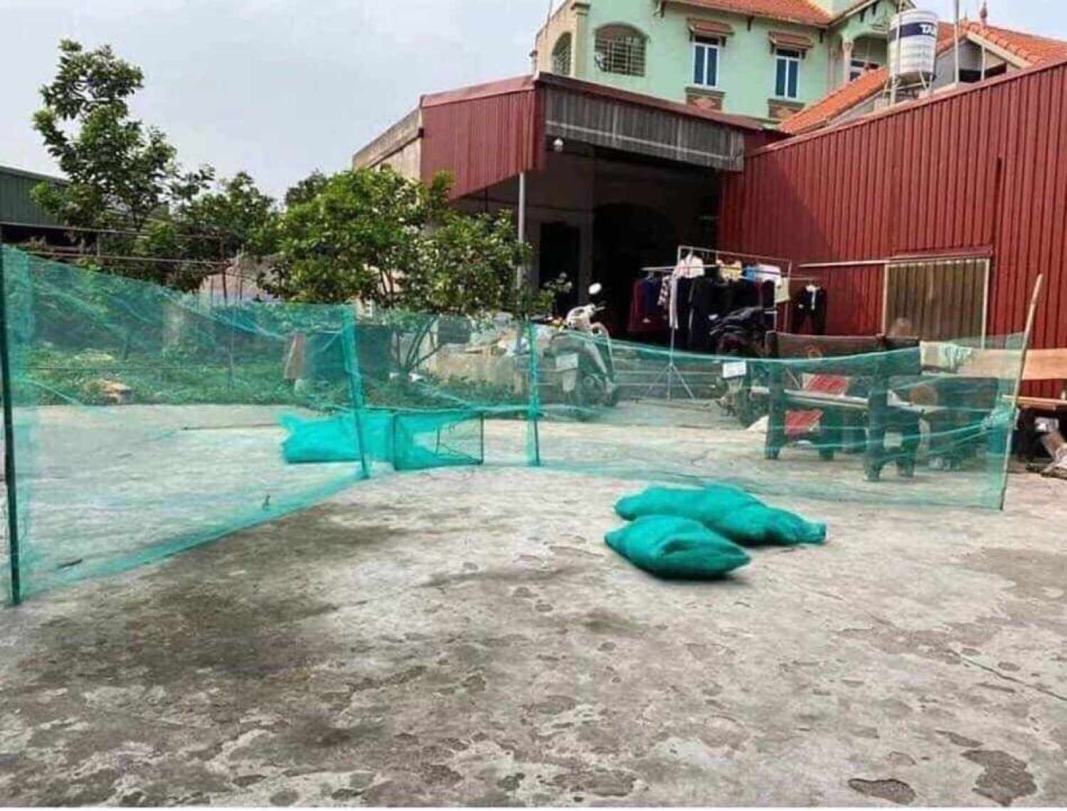 Dớn chặn sông, dớn bắt cá