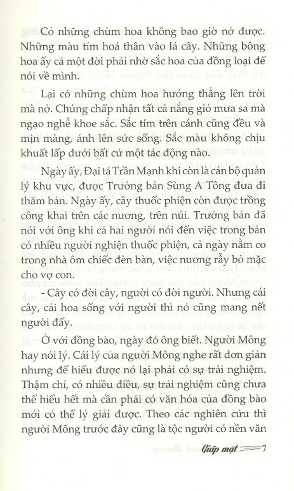 Giáp Mặt - Tiểu Thuyết