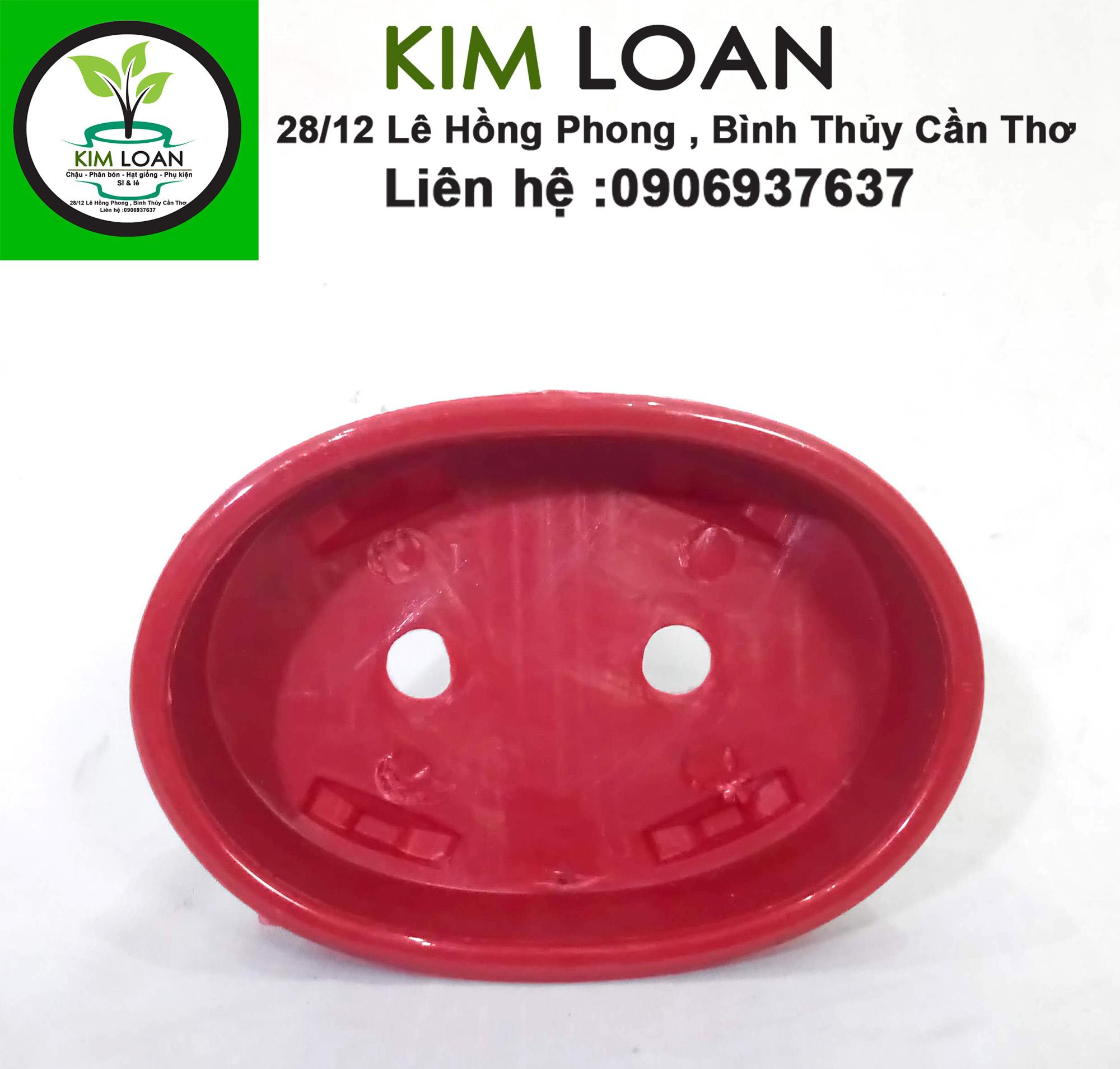 Chậu nhựa bonsai ovan mini 16x12x5cm