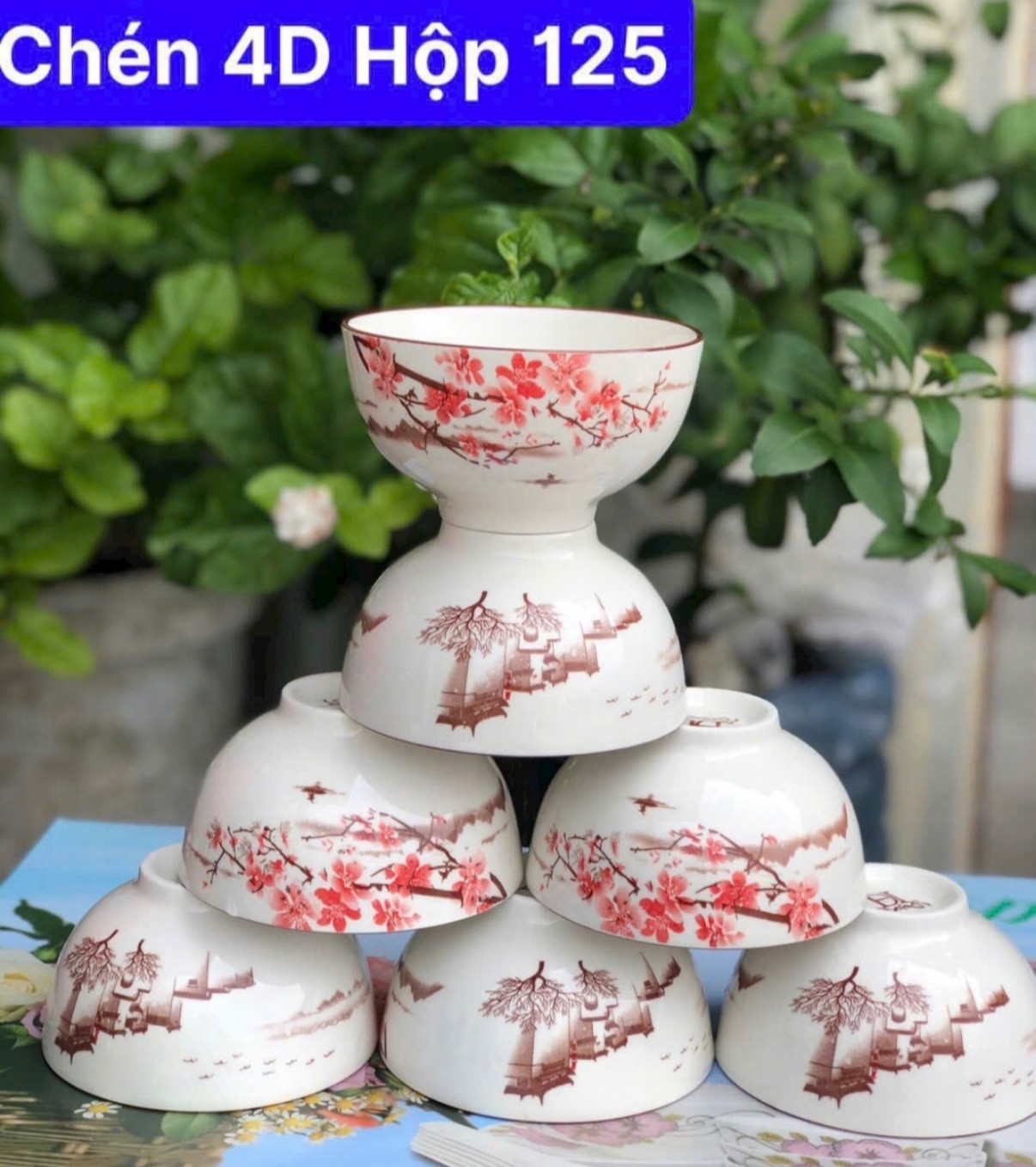 Combo 10 chén , 5 chén sứ hoa văn 4d hoa đỏ 11cm gl125, chén cơm trắng 11cm, chén chấm trắng 8.5cm