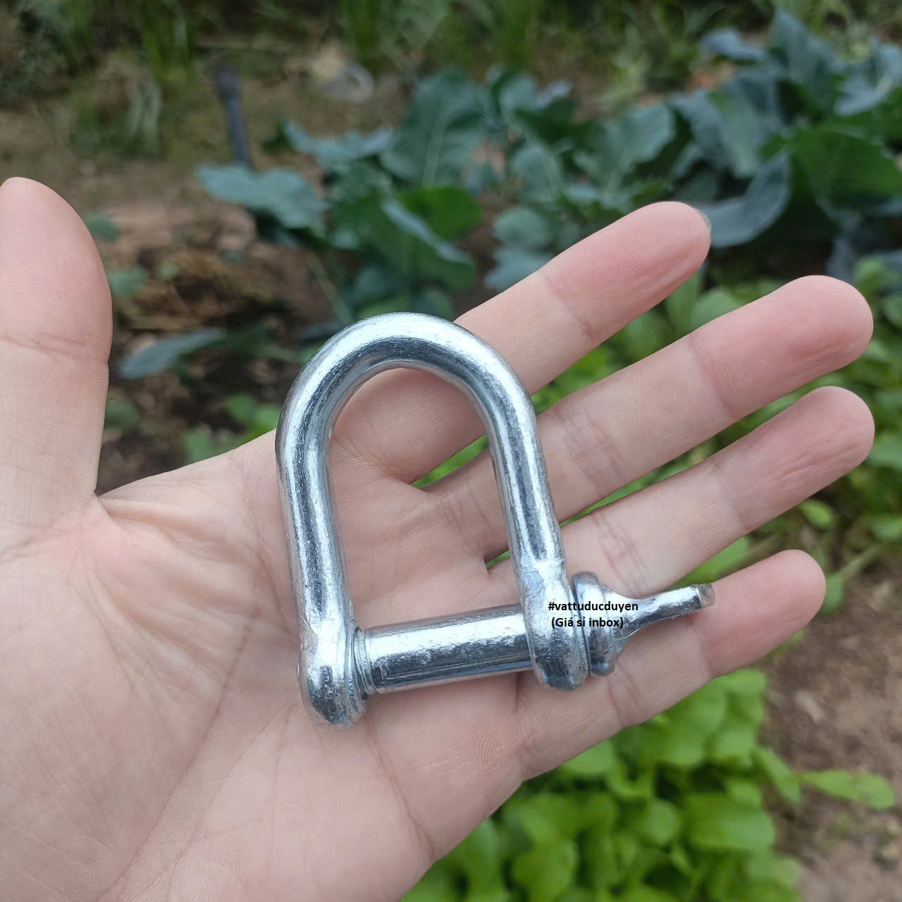 Ma ní chữ U thép mạ kẽm [ Ø 12mm ]