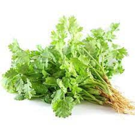 Hạt giống rau ngò rí ( mùi ta )-Gói 20gram
