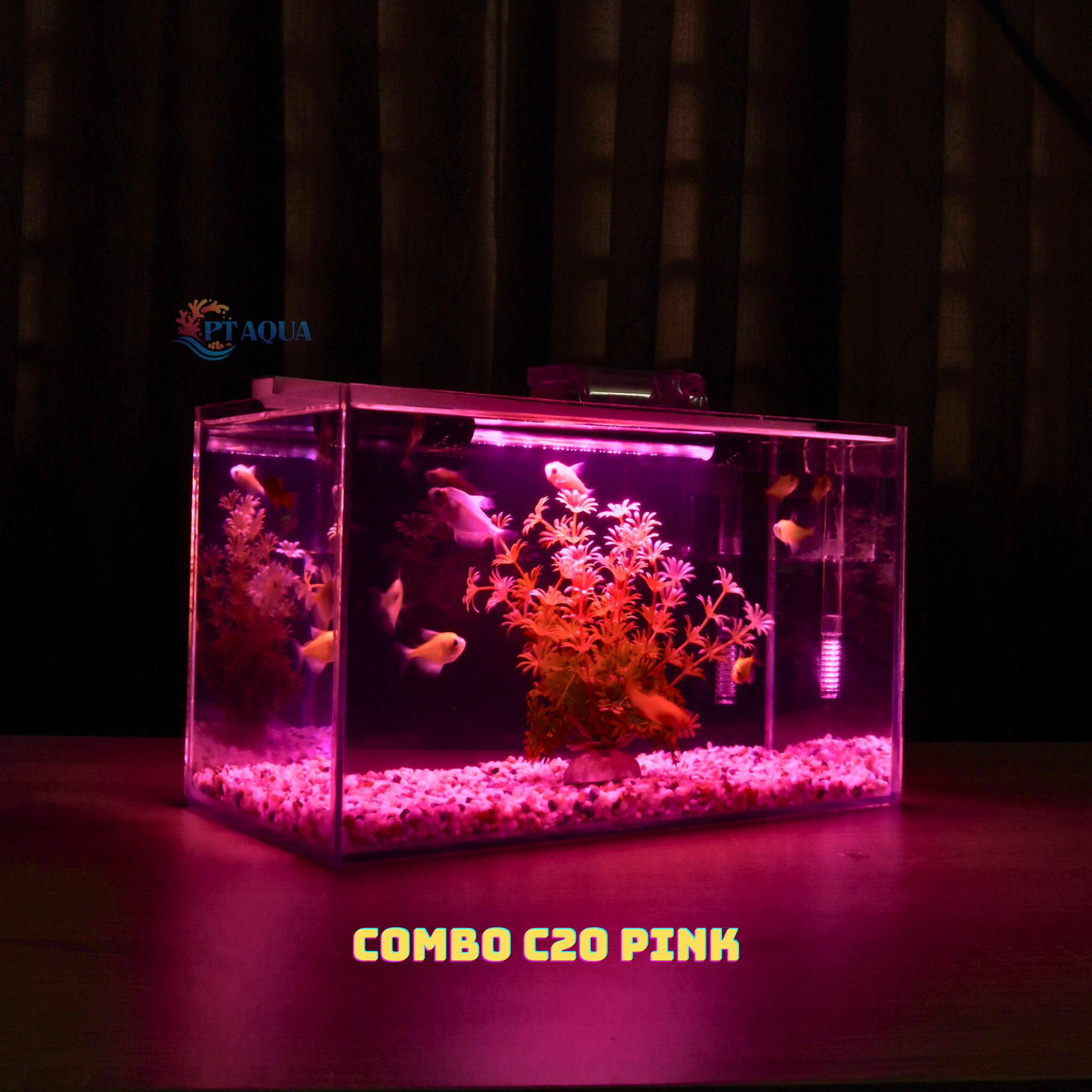 Bể cá mini FULL COMBO để bàn đầy đủ phụ kiện