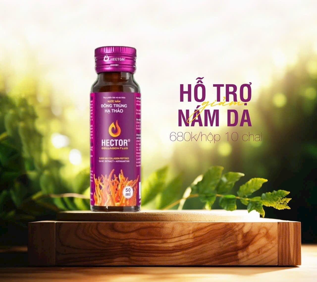 NƯỚC NẤM ĐÔNG TRÙNG HẠ THẢO HECTOR COLLAGEN PLUS (hộp 10 chai)