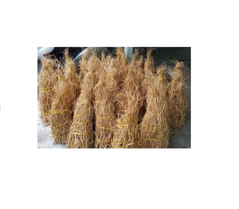Lũa Rễ Rừng dẻo 100g - Lũa Setup Bể Thuỷ Sinh