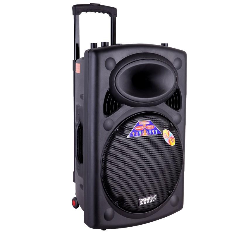 Loa Kéo Temeisheng A012 BH 6 Tháng Đổi Mới