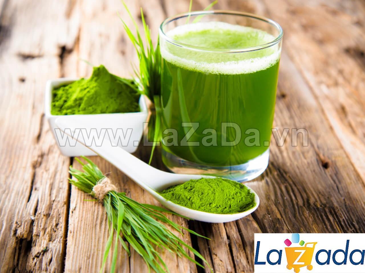 100Gr Hạt Giống Cỏ Lúa Mì Đỏ Cỏ Mèo Wheatgrass (A2.205| W20*V34*M054)